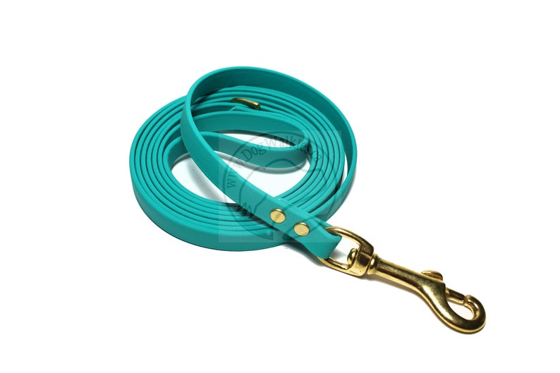 Teal Biothane Small Dog Leash 1/2 12mm Wide Etsy
