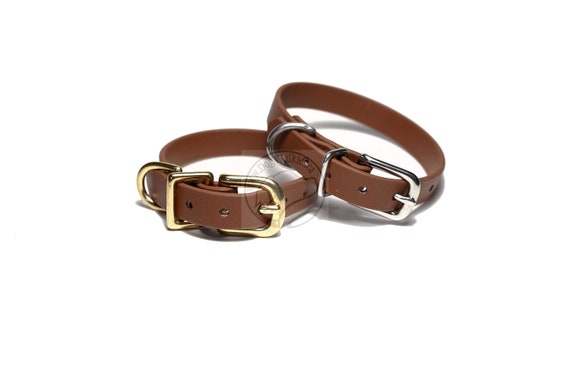 thin dog collars