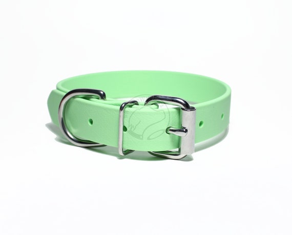 best flea collar for big dogs