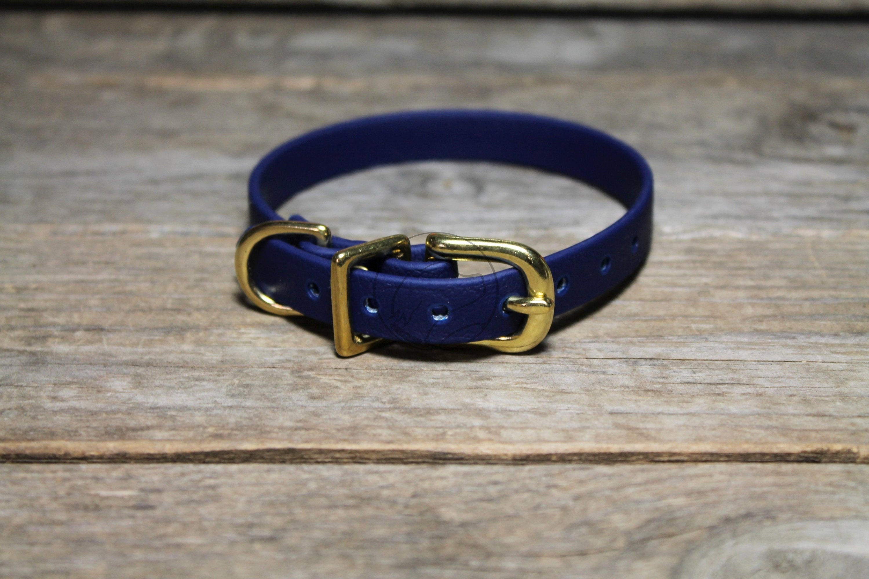 thin dog collars