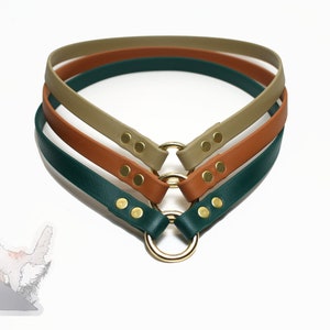 Chill Tag Halsband - Dünnes Halsband - Wasserdichtes Biothane in 37 Farben - Handgemacht in Kanada - Vegane Lederalternative - Tierfreundlich