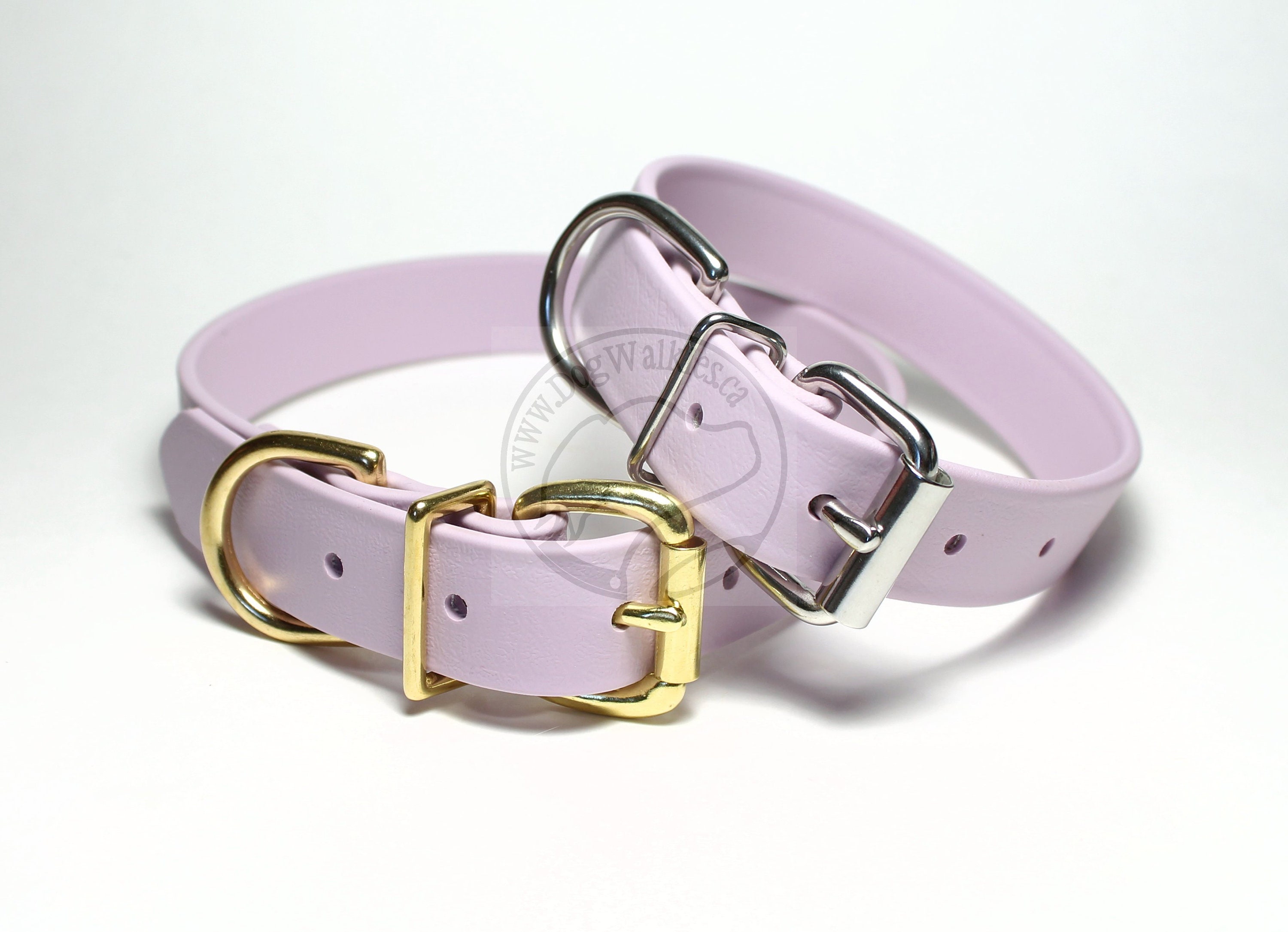 lavender dog collar