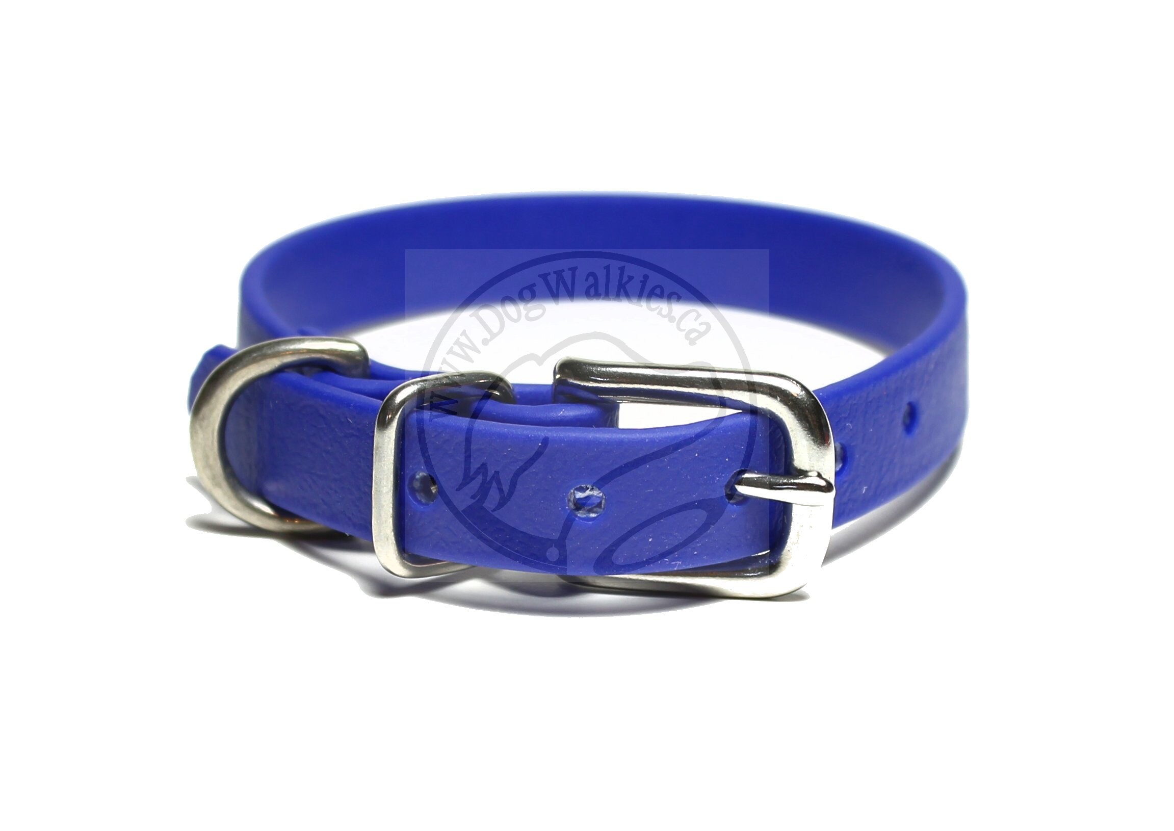 Royal Blue Little Dog Collar 1/2 12mm Delgado Etsy