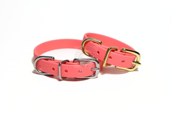 coral dog harness