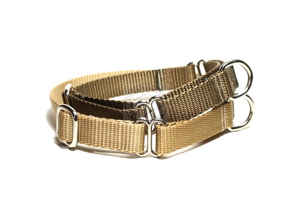 thick martingale collar