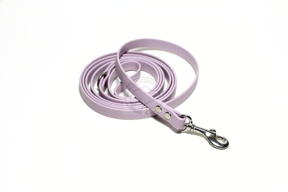 Buckle-Down Pet Leash Love Love Purple 4 Feet Long 1 Wide
