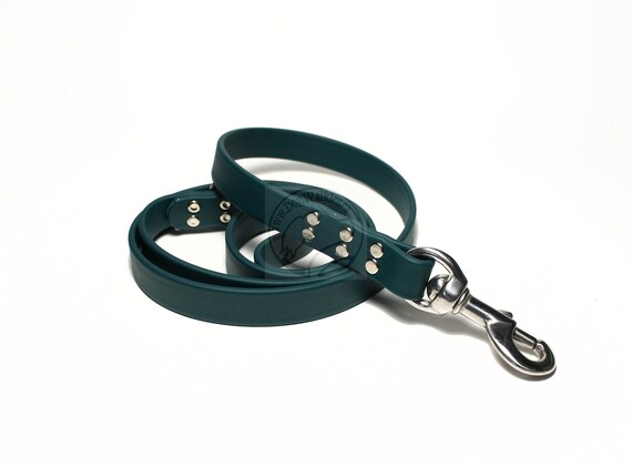 BioThane Super Heavy Leash 12 in Width with Personalization and Ring