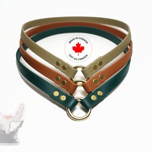 Collier imperméable en biothane pour chien : alternative au cuir végétalien fin, simpliste