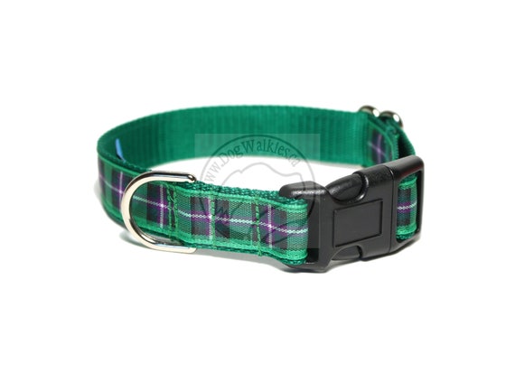 hibs tartan tie