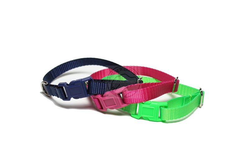 width Breakaway Buckle Red Yellow Blue Black White Green Pink Orange Purple 9mm Cat Collar Mix and Match 38