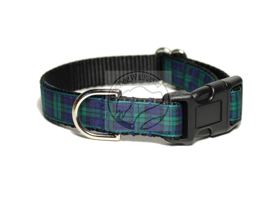 black watch tartan dog collar