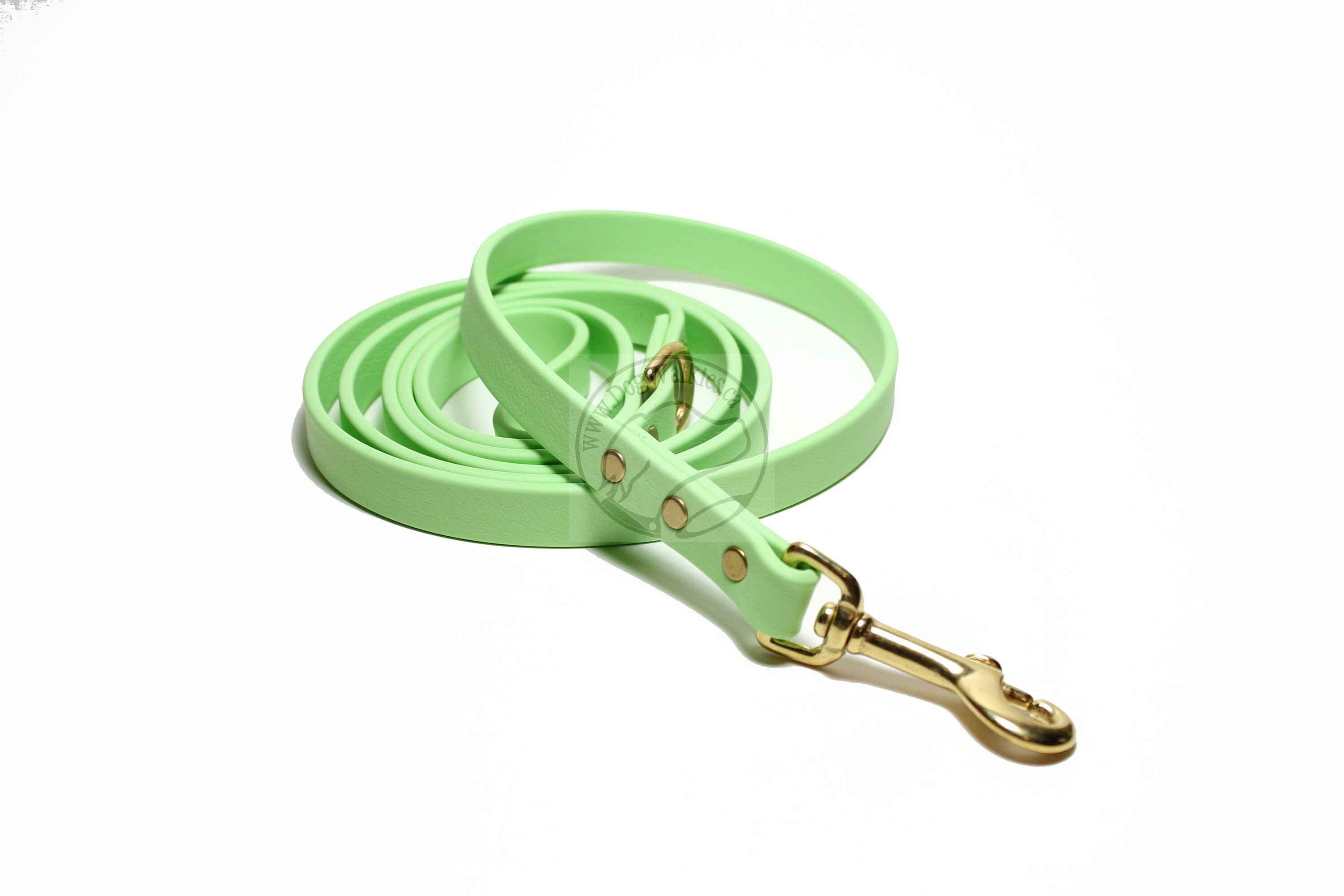 Mint Green Biothane Dog Leash 5/8 16mm wide Choice Etsy