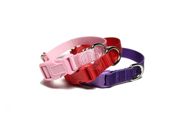 small dog collars