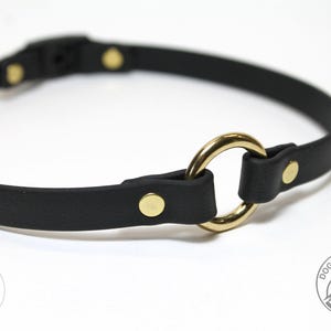 Biothane Dog Tag Collar: Waterproof Vegan Leather, Safety Breakaway Buckle, 30+ Colours
