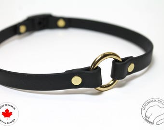 Biothane Dog Tag Collar: Waterproof Vegan Leather, Safety Breakaway Buckle, 30+ Colours