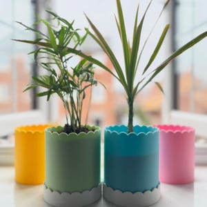 May include: Four brightly coloured plant pots in yellow, green, teal, and pink, each with a scalloped rim and a white scalloped base. Two pots contain green plants. The pots are on a windowsill.