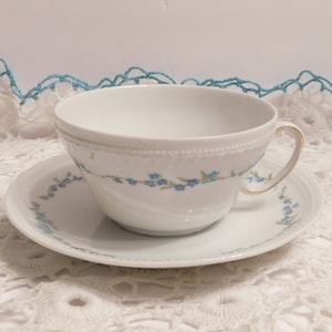 Victoria, Austria Delicate White Porcelain, Turquoise Floral Cup & Saucer, Early 20th Century