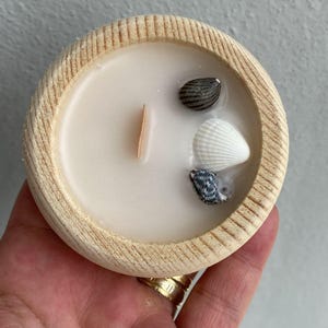 Puede incluir: Una vela redonda en un cuenco de madera clara con cera blanca lisa, una mecha de madera vertical y tres peque&ntilde;as conchas marinas incrustadas en la superficie, incluyendo una concha oscura rayada, una blanca y una moteada.