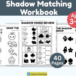 Preschool Shadow Matching Worksheets | 40 Printable Shadow Match Activities | Toddler Busy Book PDF | Kindergarten Visual Perception