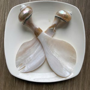 Puede incluir: Dos cucharas de servir hechas de conchas iridiscentes, con un brillo nacarado. Las cucharas están dispuestas sobre un plato cuadrado blanco. Los mangos son de color marrón claro y las cabezas de las cucharas son de color blanco crema.