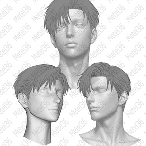 May include: A 3D model of a male head with short, layered hair, presented from three angles. The image shows a front view, a side view, and a three-quarter view. The model has a neutral expression and is rendered in grayscale.