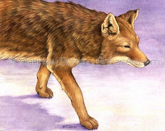Watercolor Painting, Watercolor Original, Wall Art, Home Decor, Wildlife Nature, Boys Room Girls Room, Coyote, Winter Purple, FREE SHIPPING