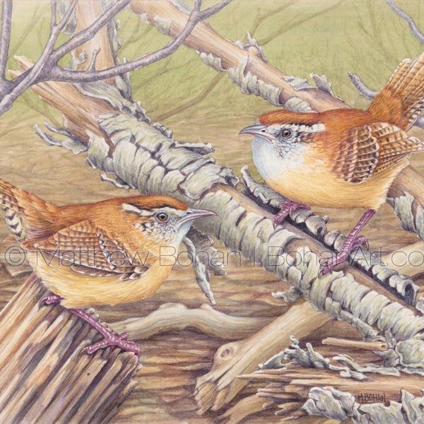 ORIGINAL Watercolor Painting of Carolina Wrens, Bird Painting, Wall Art Home Decor, Wildlife Nature,  FREE SHIPPING