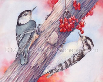 ORIGINAL Watercolor Painting of Nuthatch and Downy Woodpecker, Bird Painting, Wall Art Home Decor, Wildlife Nature,  FREE SHIPPING