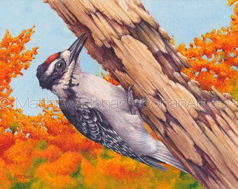 ORIGINAL Watercolor Painting of Juvenile Hairy Woodpecker, Bird Painting, Bird Art, Wall Art, Home Decor, Wildlife, Nature, FREE SHIPPING