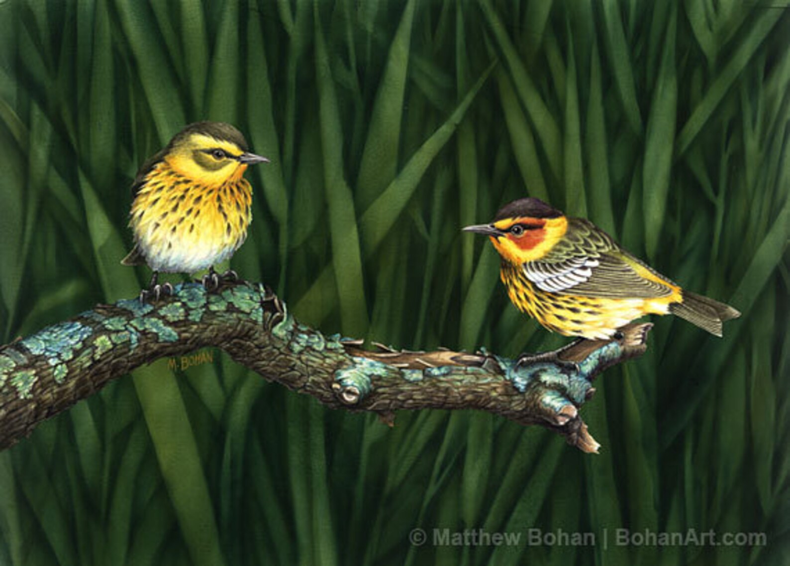 ORIGINAL Watercolor Painting of Cape May Warblers Bird Etsy