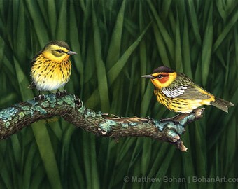 ORIGINAL Watercolor Painting of Cape May Warblers, Bird Painting Bird Art, Wall Art Home Decor, Wildlife Nature, Spring Green, FREE SHIPPING