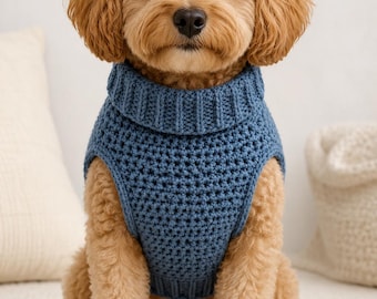 Op de afbeelding: Een kleine, lichtbruine hond met een blauwe gebreide trui met een coltrui. De hond zit en kijkt recht in de camera. De trui heeft een textuur met een open weefsel.