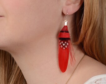 Red Pheasant Feather Earrings