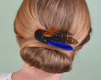 Blue and Copper Pheasant Feather Hair Clip