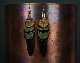 Black, Green and Gold Feather Earrings