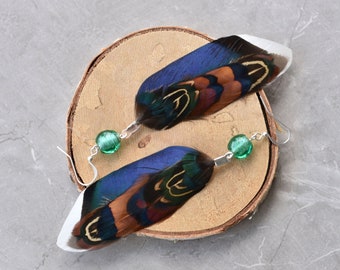 Blue and Turquoise Duck and Pheasant Feather Earrings