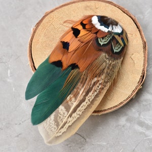 Bottle Green and Copper Pheasant Feather Hair Clip Feather Fascinator Bridal Bridesmaid Hair Clip Wedding Fascinator image 8