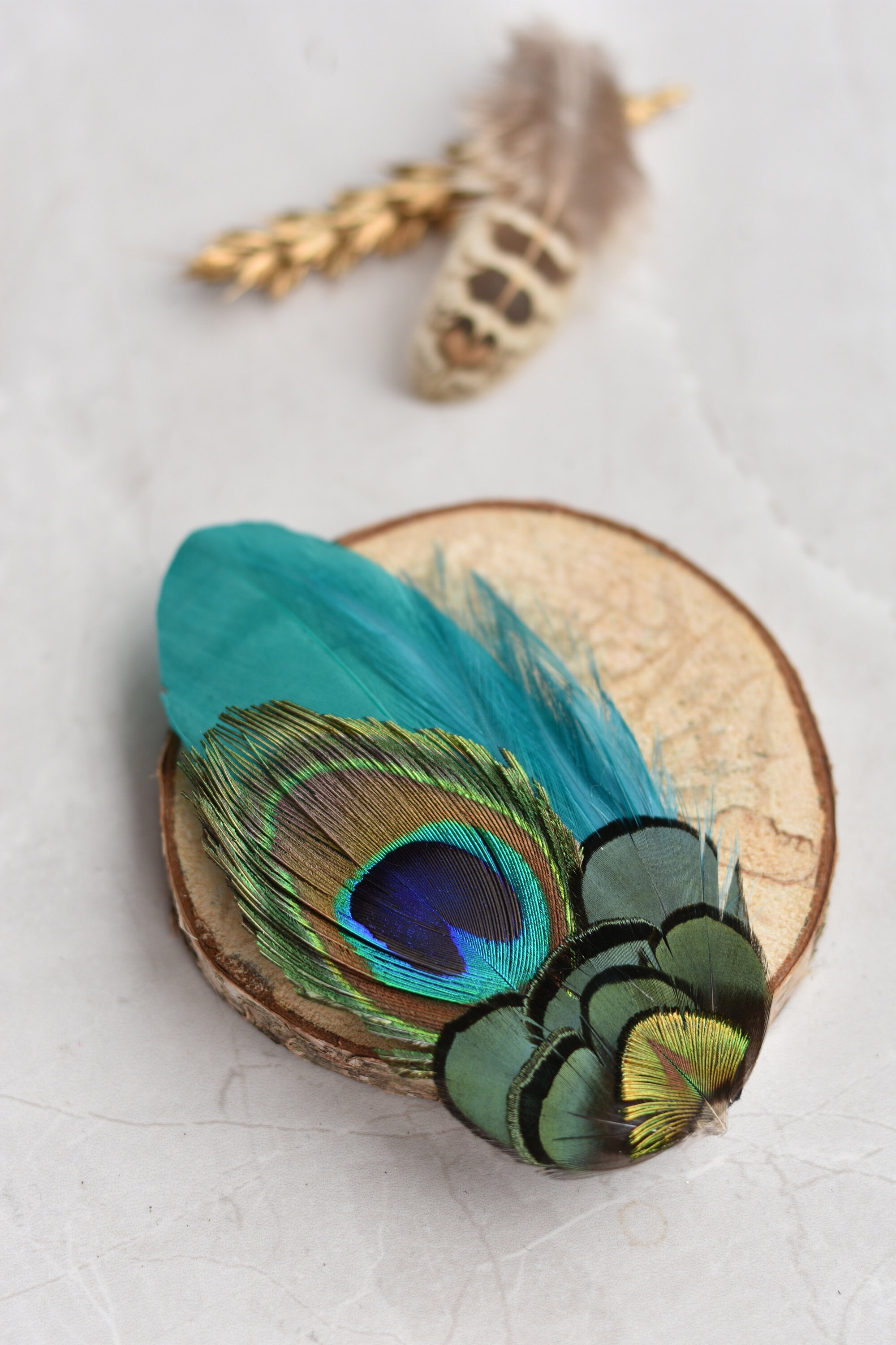 Peacock Feather Hair Clip Fascinator in 