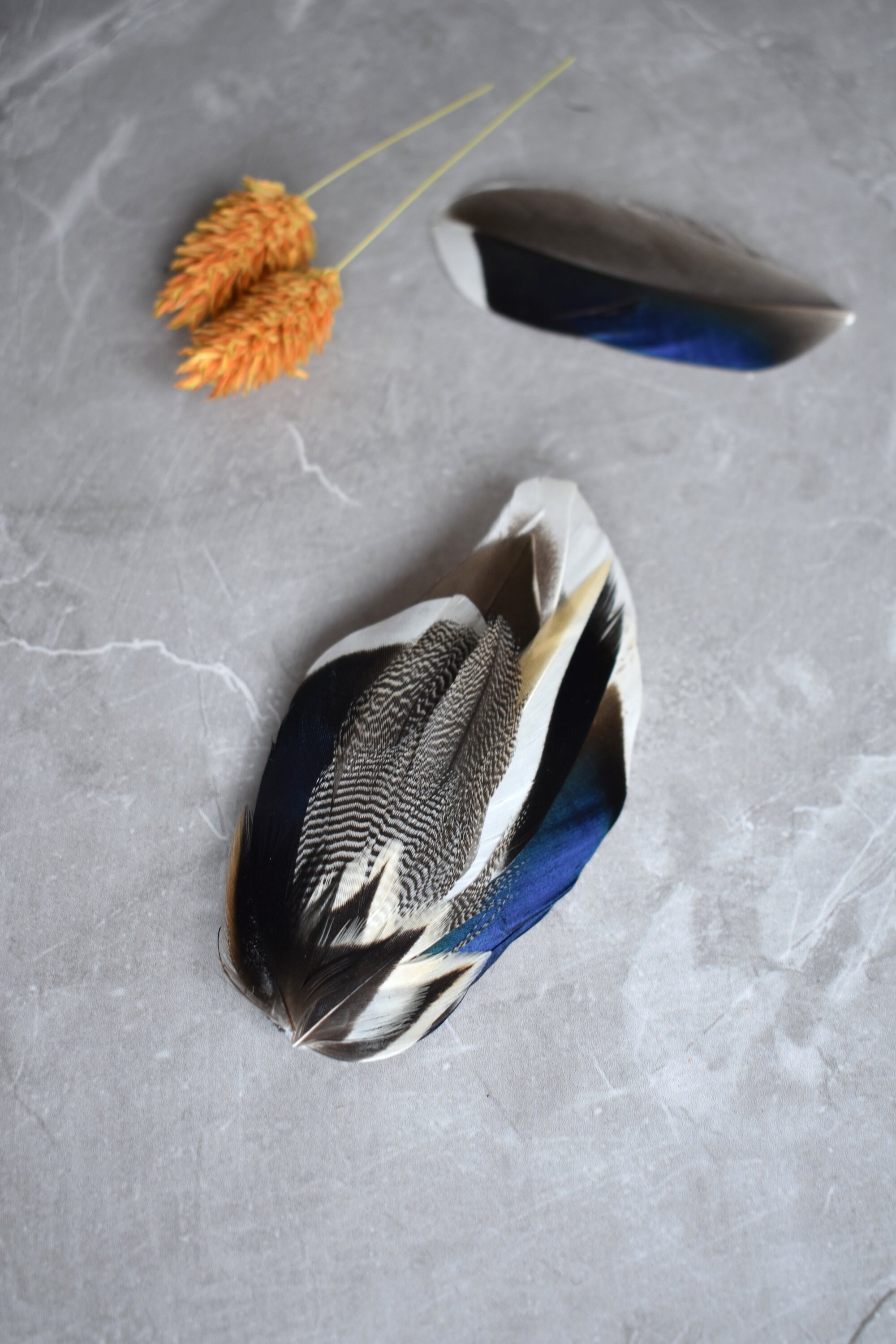 Mallard Duck Feather Lapel Pin in Navy 