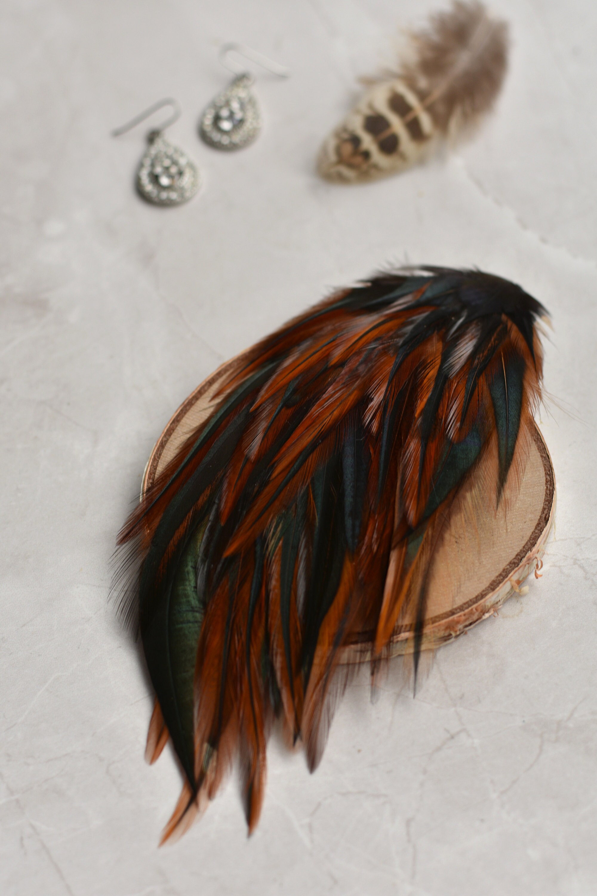 Feather Hair Clip in Glossy Copper and Black