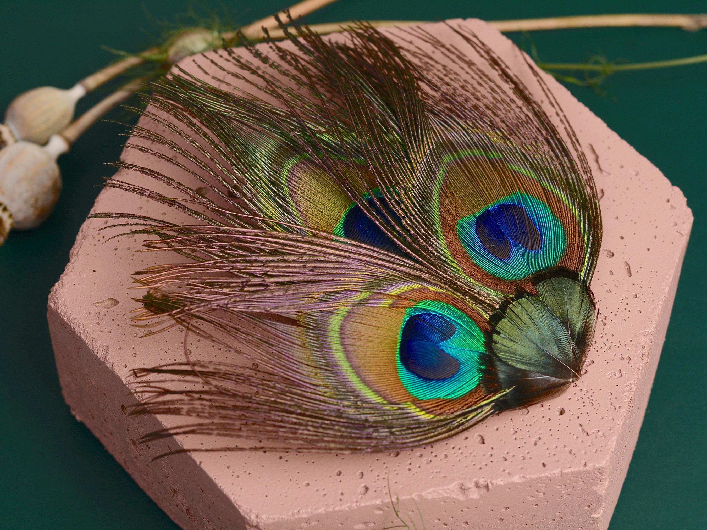 Forcina Con Piume Di Pavone - Accessorio Per Capelli Anni 20, Perfetta Per Costumi E Feste - Foto 2