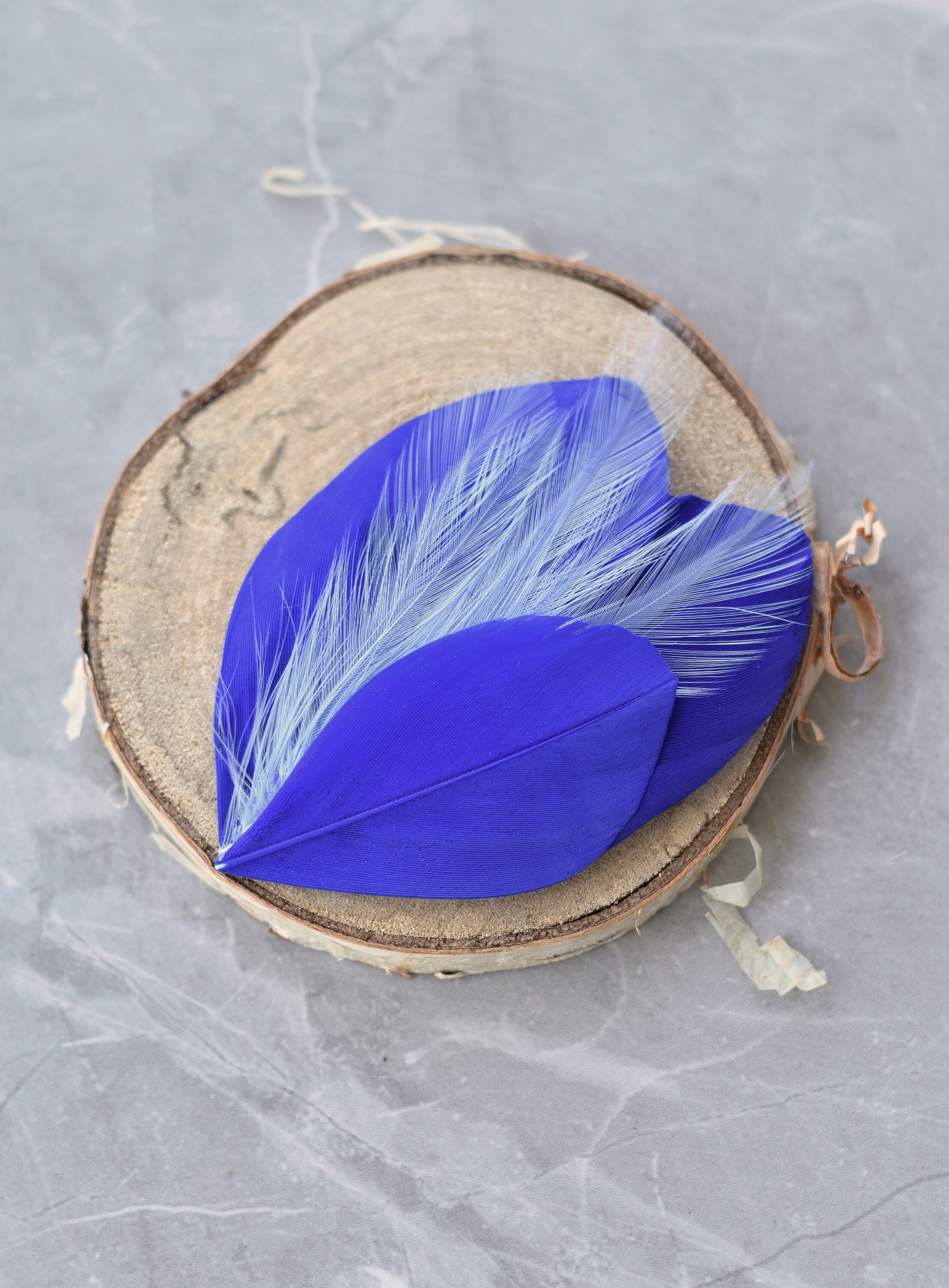Feather Hair Clip in Royal Blue