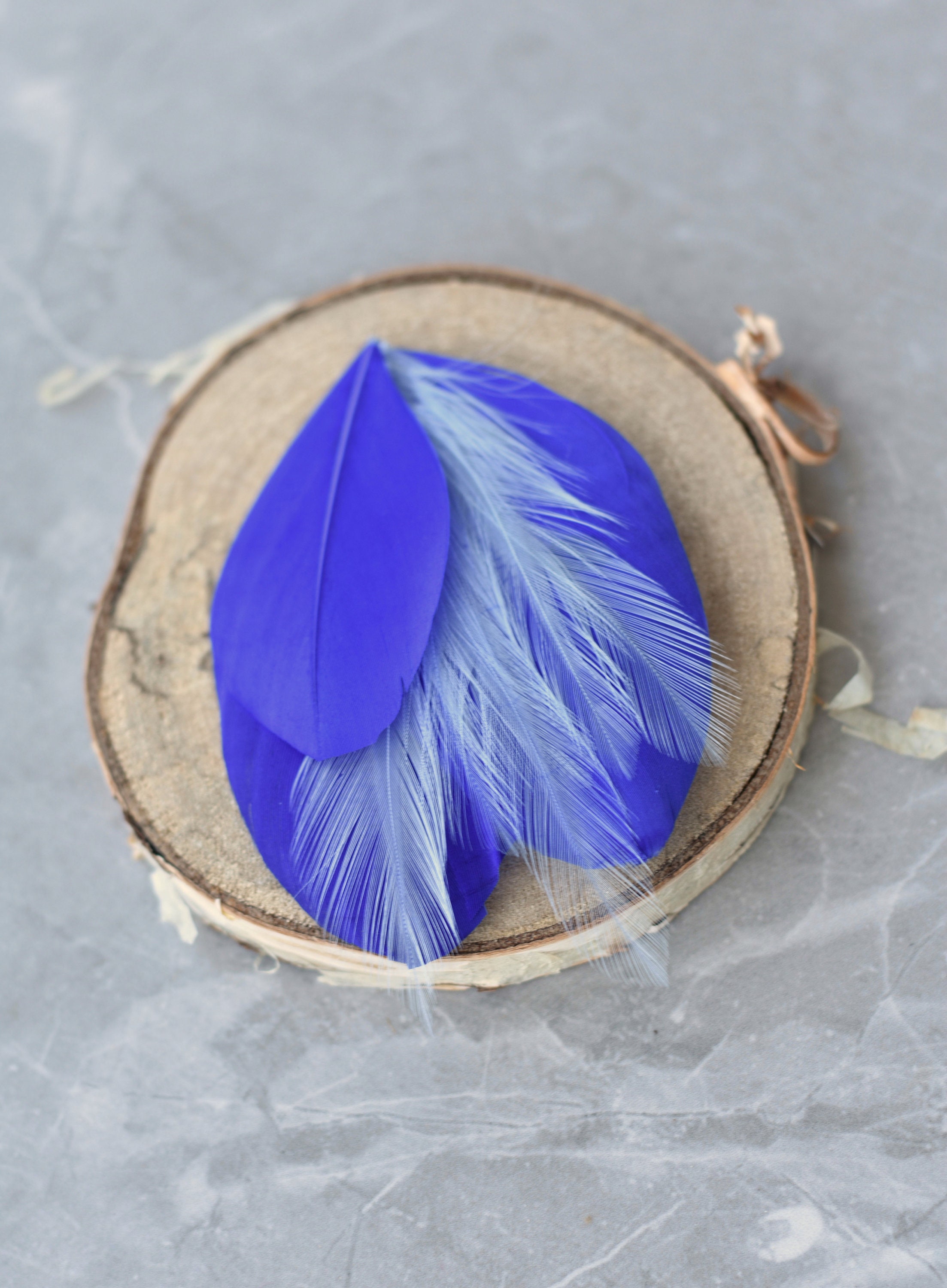 Feather Hair Clip in Royal Blue