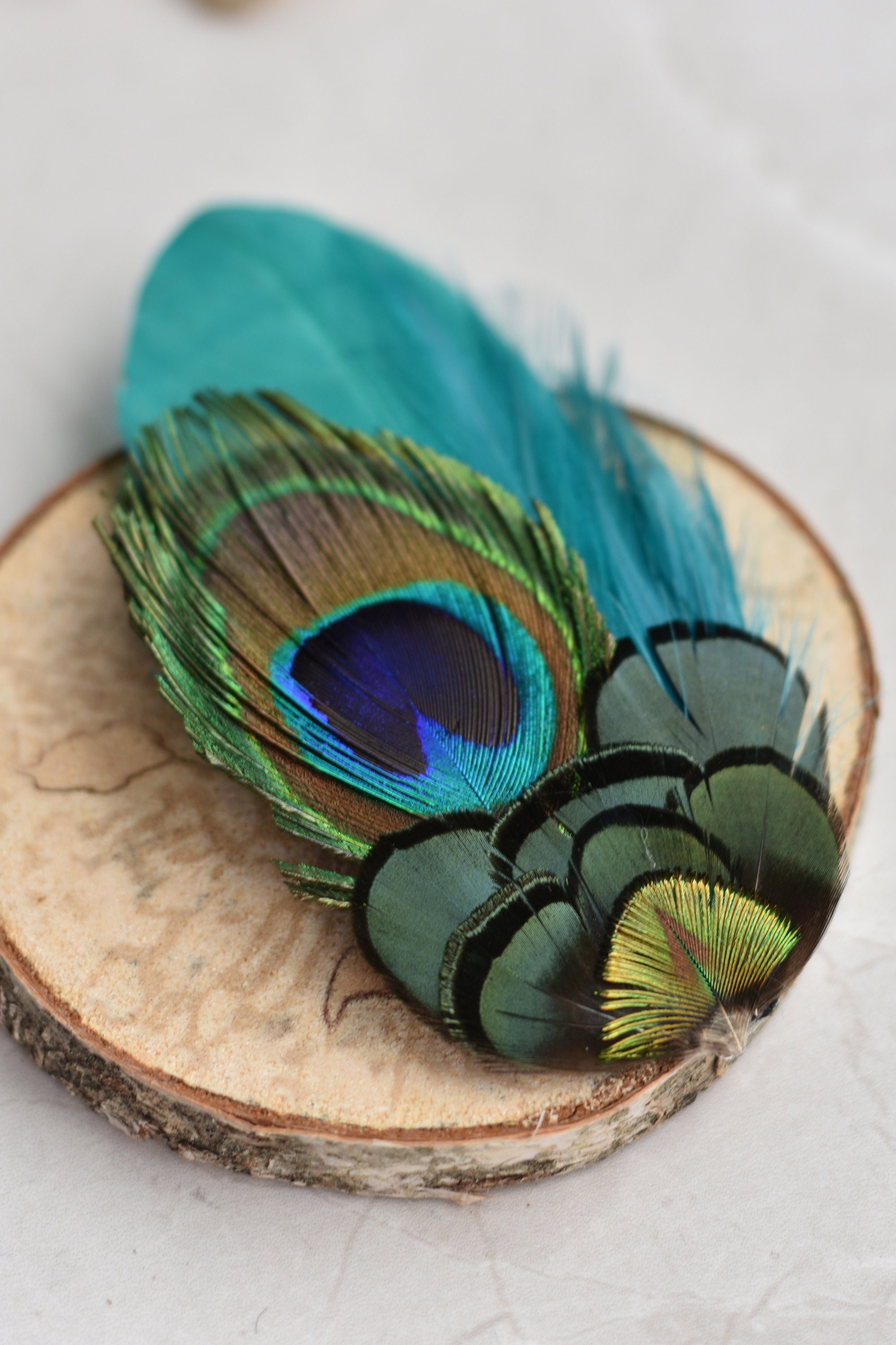 Peacock Feather Lapel Pin with Teal and Green