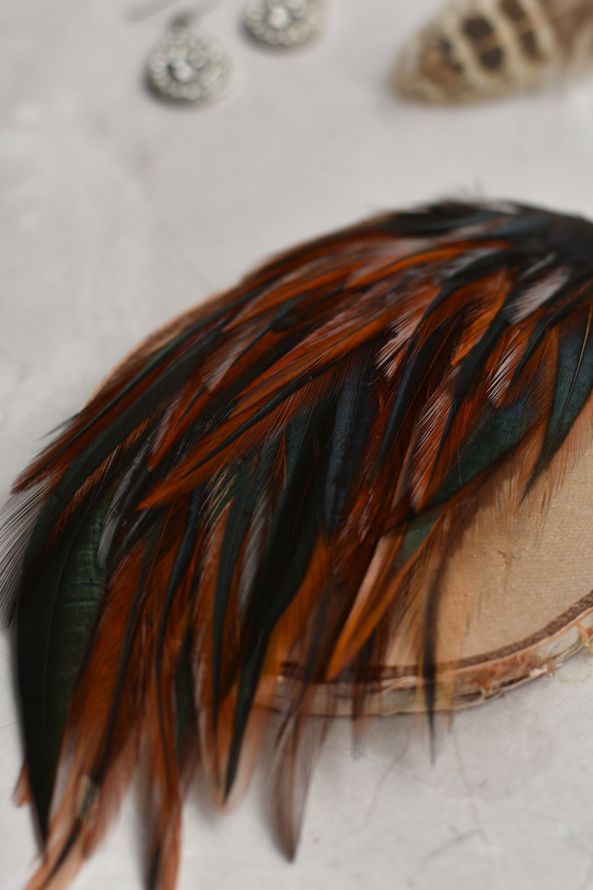 Feather Hair Clip in Glossy Copper and Black