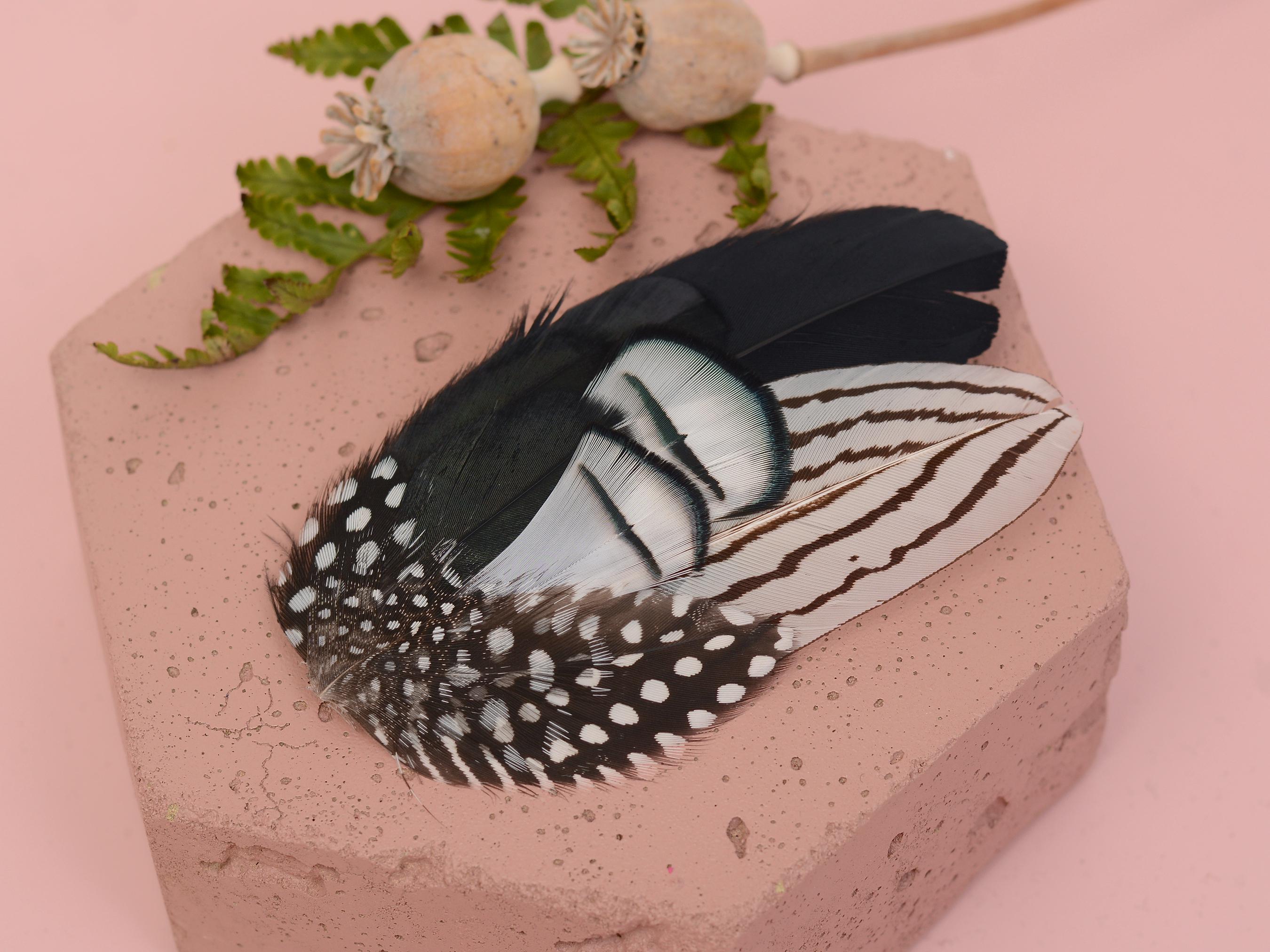 Black & White Feather Fascinator Hair Clip. Handmade in the USA. Fascinator Hat, off White Net and Lace Flowers and Leaves  main image 3