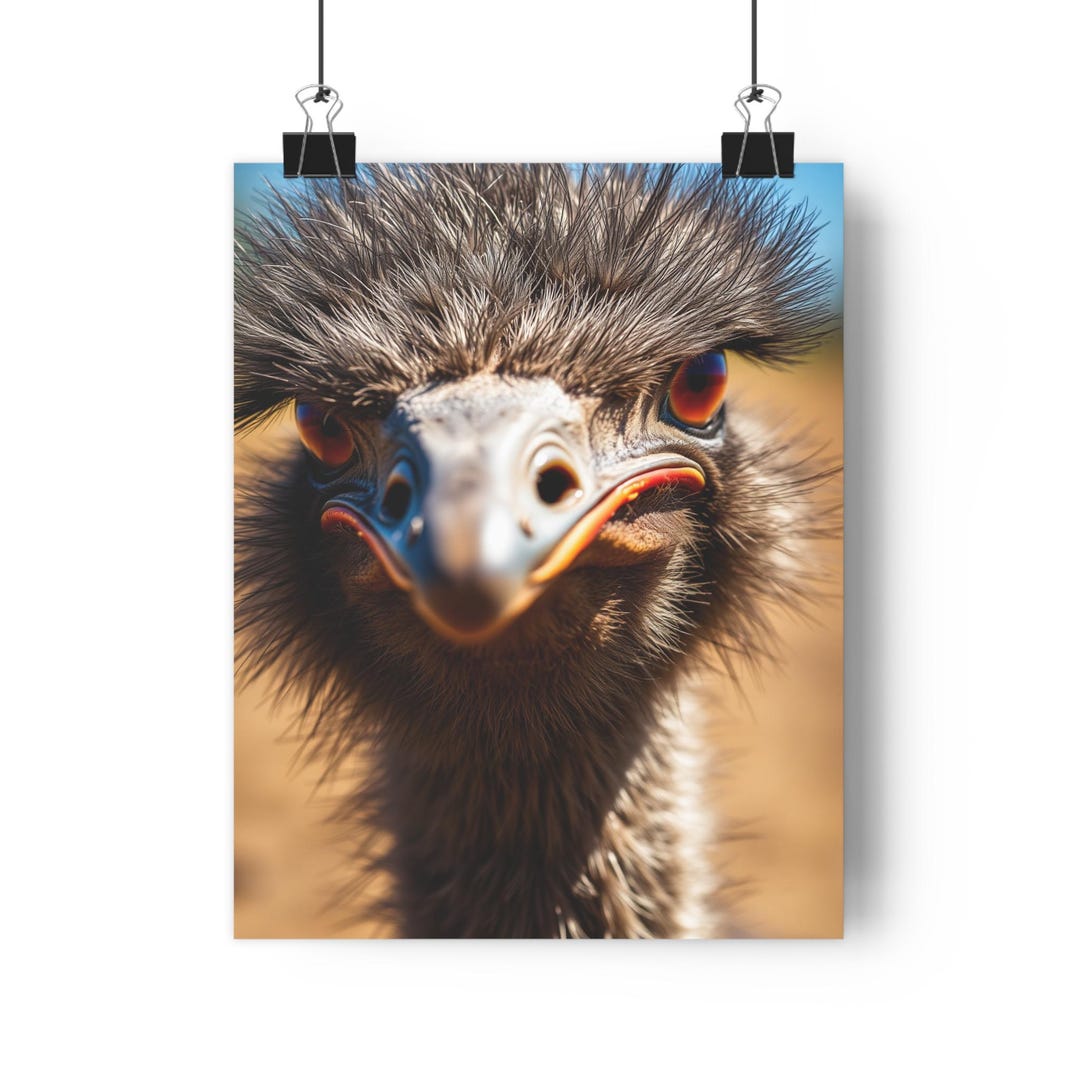 Emu War Poster | Bizarre Australian History Art Print - Etsy Australia