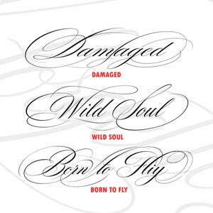 May include: Three lines of black calligraphic script text on a white background. The phrases read Damaged, Wild Soul, and Born to Fly. Below each script line, the same text is repeated in a smaller, bold, red, sans-serif capital letter font.