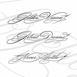 May include: Three lines of black calligraphic text on a white background. The first line reads Golden Vision, the second line reads Silent Dreams, and the third line reads Never Settle. Each phrase features elaborate, flowing, and decorative script.