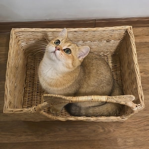 May include: A golden-colored cat with green eyes sits inside a woven wicker basket. The cat looks upwards, with its ears perked. The basket is rectangular with a handle on one side. The basket and cat are on a wooden floor.